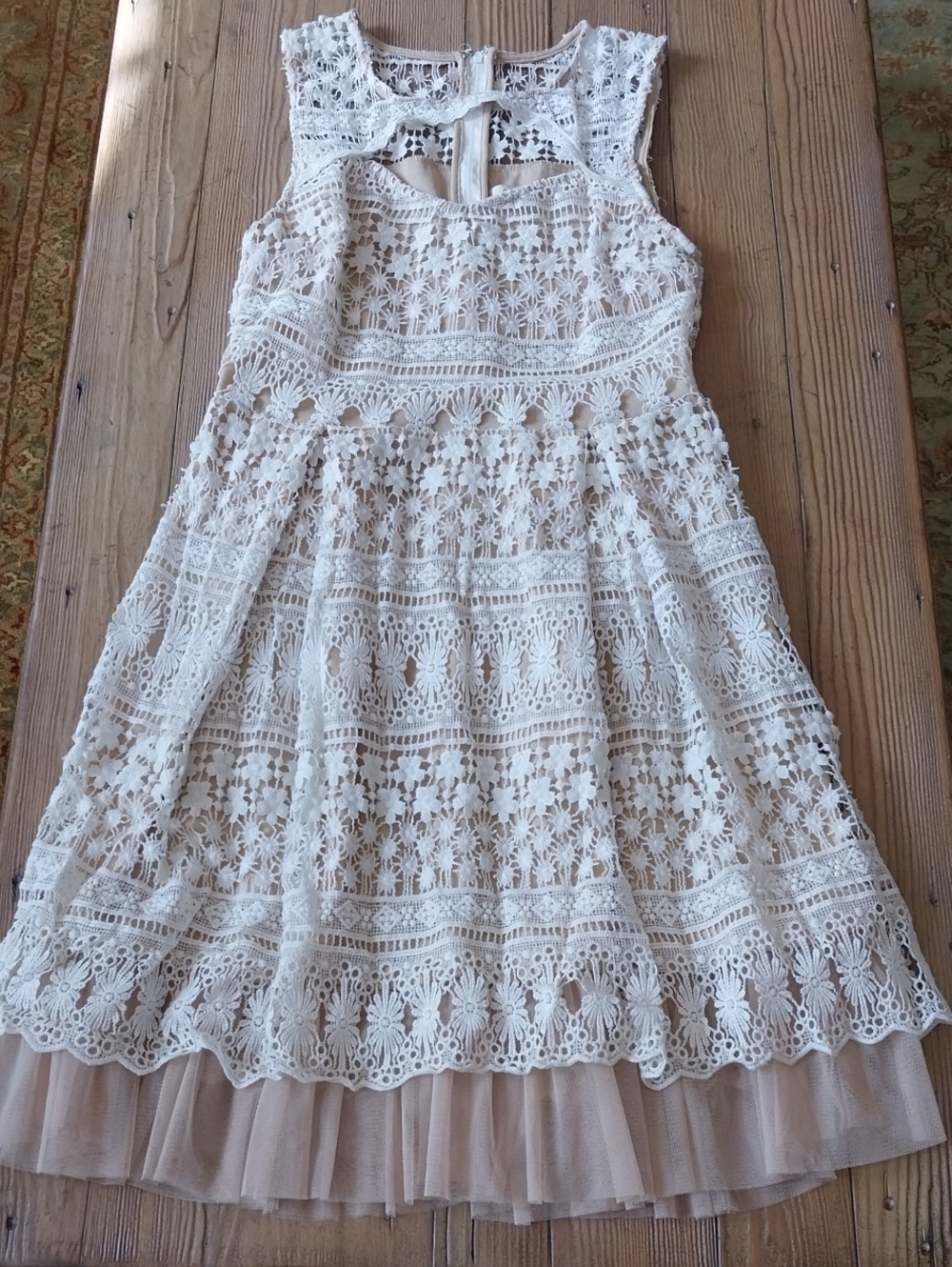 Francesca's Collections Ivory Lace Overlay Dress with Tulle